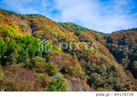 伊吹山 ドライブウェイ 絶景秋景色2021 伊吹山 ドライブウェイ 絶景秋景色2021 84178726