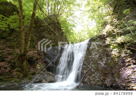 初夏　水源の滝　幣懸の滝 84178999