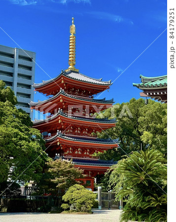 福岡パワースポット・東長寺の五重塔(博多/福岡) 福岡パワースポット・東長寺の五重塔(博多/福岡) 84179251