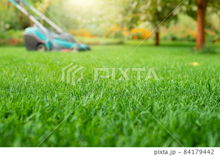 Lawn mower on grass closeup view. Lawn care concept Lawn mower on grass closeup view. Lawn care concept 84179442