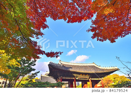 慶熙宮 季節 背景 84179524