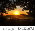 夕暮れの大きな夕日と木々の葉のシルエットが見える田舎の風景 84181078
