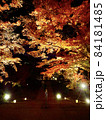 秋のもみじ祭り/ライトアップ・竈門神社（太宰府/福岡） 84181485