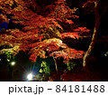 秋のもみじ祭り/ライトアップ・竈門神社（太宰府/福岡） 84181488