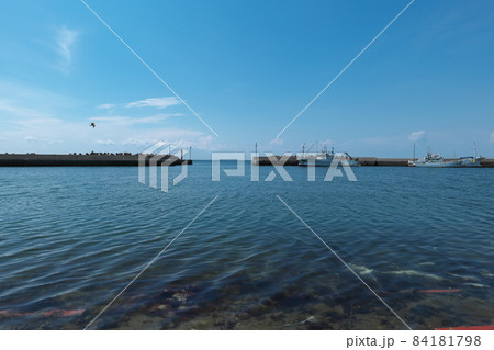 竹岡の風景 84181798