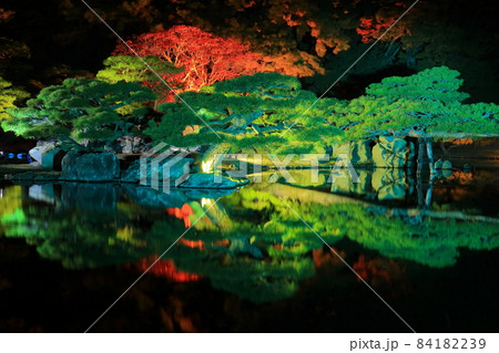 【香川県】栗林公園の秋の紅葉ライトアップ（涵翠池） 84182239