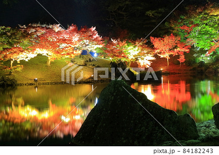 【香川県】栗林公園の秋の紅葉ライトアップ 84182243