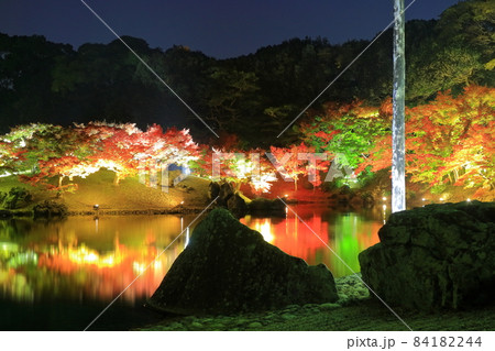 【香川県】栗林公園の秋の紅葉ライトアップ 84182244