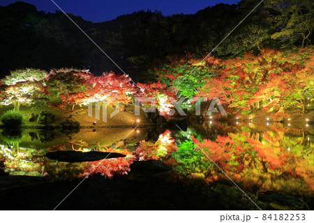 【香川県】栗林公園の秋の紅葉ライトアップ 【香川県】栗林公園の秋の紅葉ライトアップ 84182253