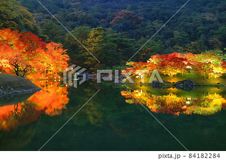 【香川県】栗林公園の秋の紅葉ライトアップ 84182284