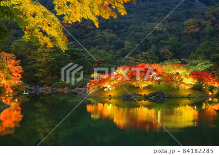 【香川県】栗林公園の秋の紅葉ライトアップ 【香川県】栗林公園の秋の紅葉ライトアップ 84182285