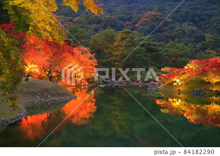 【香川県】栗林公園の秋の紅葉ライトアップ 84182290