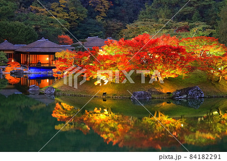 【香川県】栗林公園の秋の紅葉ライトアップ(掬月亭) 【香川県】栗林公園の秋の紅葉ライトアップ(掬月亭) 84182291
