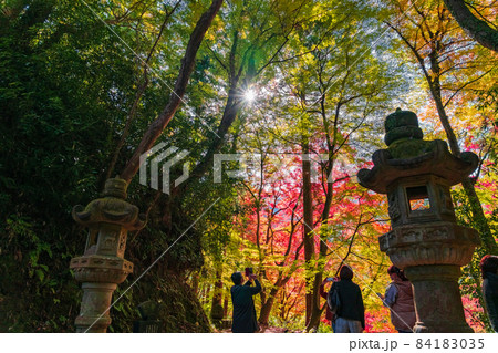 秋の香嵐渓、香積寺の山門〈愛知県豊田市〉 秋の香嵐渓、香積寺の山門〈愛知県豊田市〉 84183035