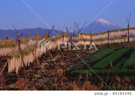 三島風物詩　大根干し櫓を見とどめる富士 84183340