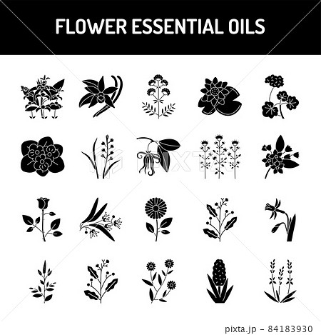 Flower essential oils color line icons set. Pictogram for web page, mobile app, promo Flower essential oils color line icons set. Pictogram for web page, mobile app, promo 84183930