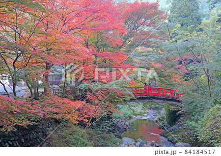 大寧寺の紅葉 84184517