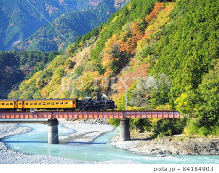静岡県　大井川第四橋梁の紅葉とSL　11月 84184903