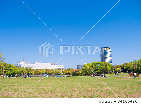青空と休日の公園 青空と休日の公園 84186426