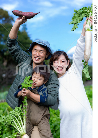 家族で芋掘り 薩摩芋 畑 収穫 家族で芋掘り 薩摩芋 畑 収穫 84186707