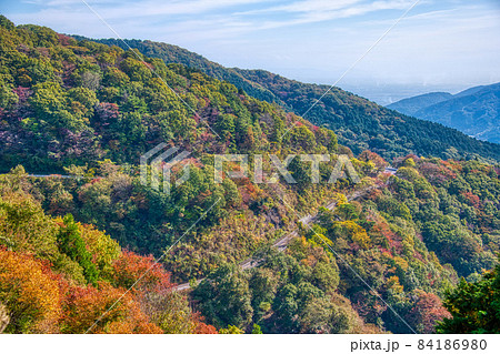 伊吹山 ドライブウェイ 絶景秋景色2021 伊吹山 ドライブウェイ 絶景秋景色2021 84186980