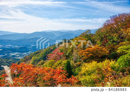 伊吹山 ドライブウェイ 絶景秋景色2021 伊吹山 ドライブウェイ 絶景秋景色2021 84186983