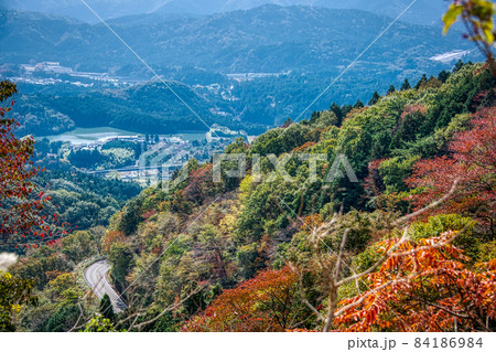 伊吹山 ドライブウェイ 絶景秋景色2021 伊吹山 ドライブウェイ 絶景秋景色2021 84186984