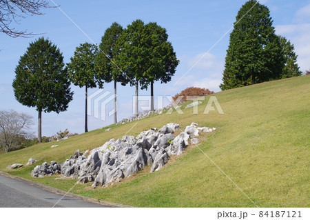 休暇村帝釈峡の公園の立ち木の景色 84187121
