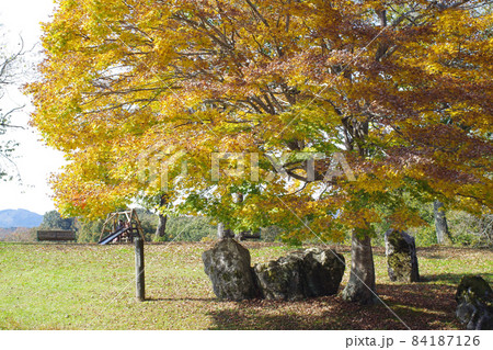 休暇村帝釈峡の庭園の紅葉の景色 休暇村帝釈峡の庭園の紅葉の景色 84187126