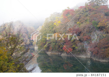 朝靄の神龍湖湖畔の紅葉の景色 朝靄の神龍湖湖畔の紅葉の景色 84187151