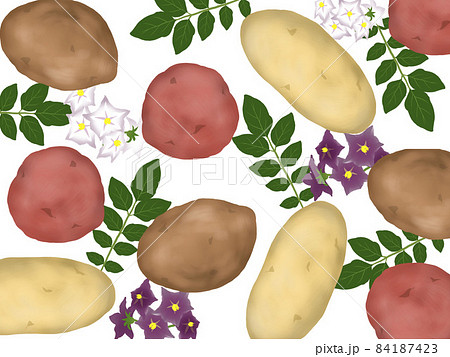 カラフルなジャガイモの背景 のイラスト素材