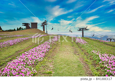びわ湖箱館山　素敵な景色 84188317