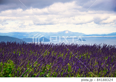 びわ湖箱館山 素敵な景色 びわ湖箱館山 素敵な景色 84188324