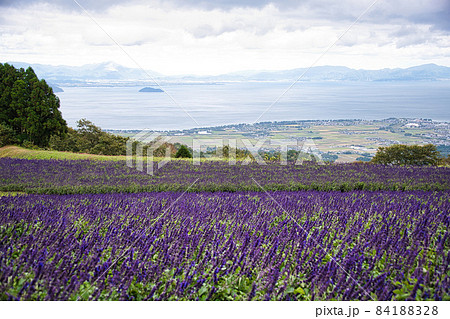 びわ湖箱館山の素敵な景色 びわ湖箱館山の素敵な景色 84188328