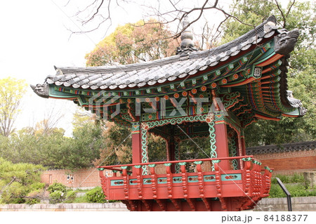 花博記念公園鶴見緑地の「国際庭園」（大韓民国） 84188377