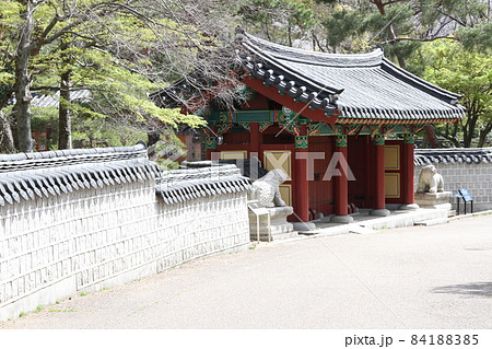 花博記念公園鶴見緑地の「国際庭園」(大韓民国) 花博記念公園鶴見緑地の「国際庭園」(大韓民国) 84188385