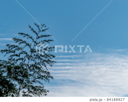 秋晴れの空 84188927