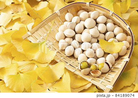 イチョウの落ち葉の上に置いたざるに入れた銀杏 84189074