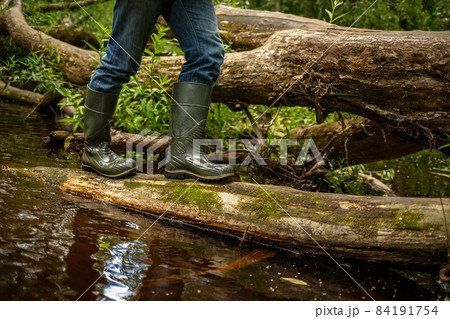 A man in rubber boots walks along a fallen tree A man in rubber boots walks along a fallen tree 84191754