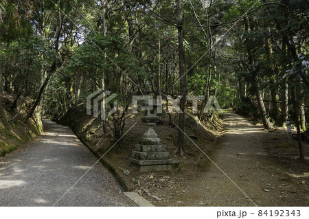 分かれ道 分かれ道 84192343