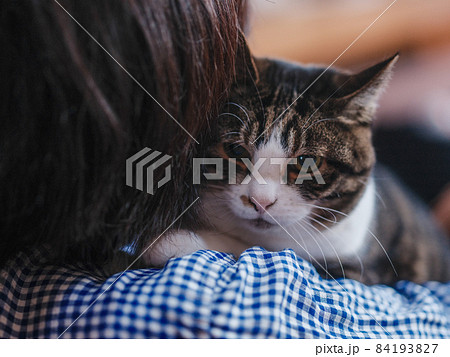 飼い主に抱かれる猫 飼い主に抱かれる猫 84193827