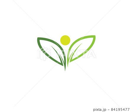 Leaf logo vector icon illustration 84195477