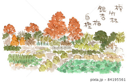 秋の紅葉と畑の風景（手描き水彩画イラスト） 84195561