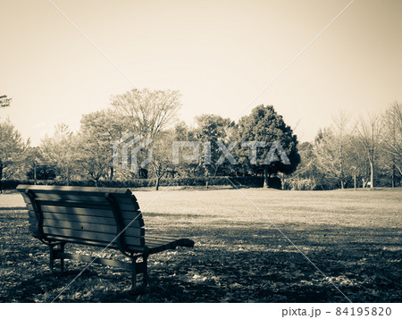 秋晴れの公園ベンチ　セピア 84195820