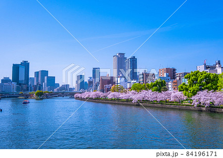 大阪の街と大川の桜 84196171