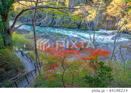 高津戸峡　高津戸渓谷　紅葉はじめ　秋の風景 84196224
