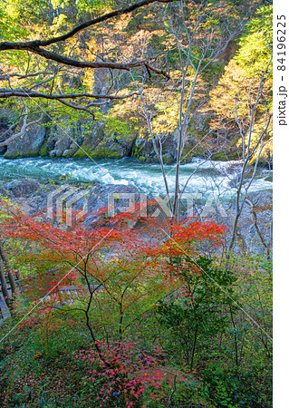 高津戸峡　高津戸渓谷　紅葉はじめ　秋の風景 84196225