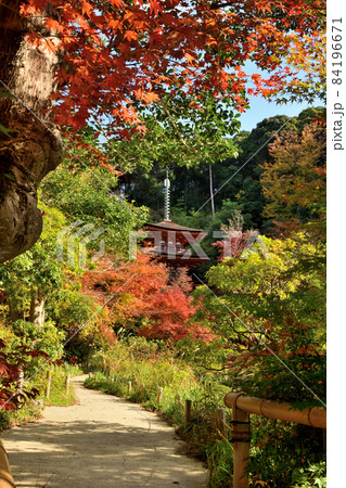紅葉の浄瑠璃寺(三重堂) 【京都府木津川市】 紅葉の浄瑠璃寺(三重堂) 【京都府木津川市】 84196671