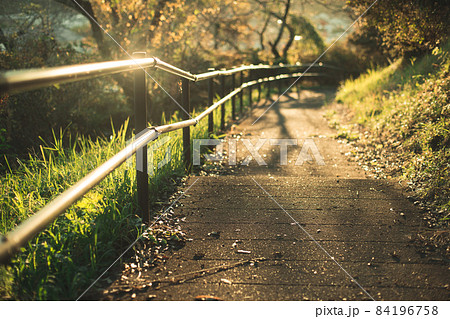 ドラマチックな雰囲気の道 84196758