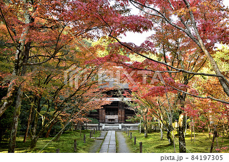 酬恩庵一休寺(参道・本堂)　【京都府京田辺市】 84197305